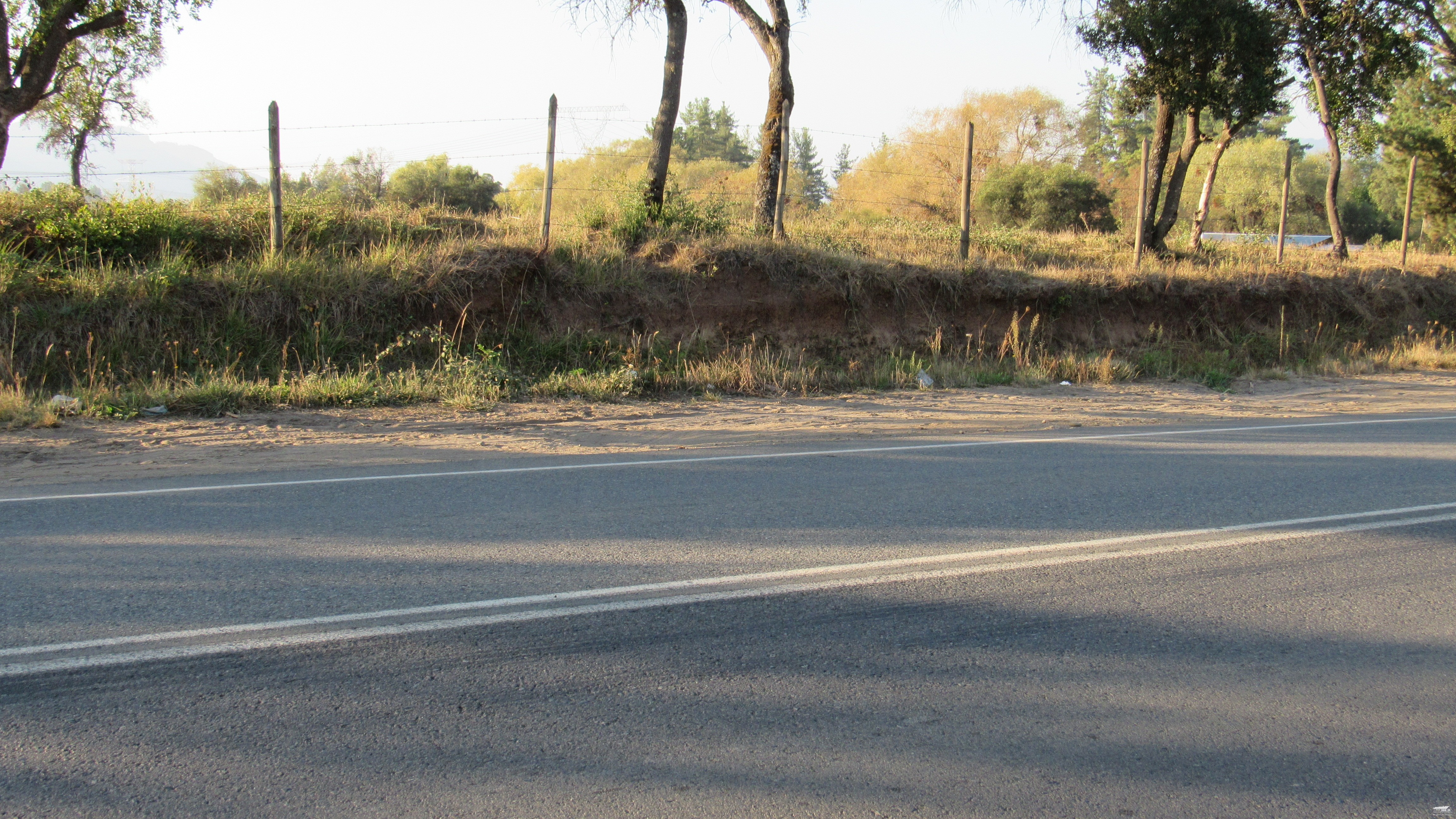 foto Terreno 5.000 M2. 4
