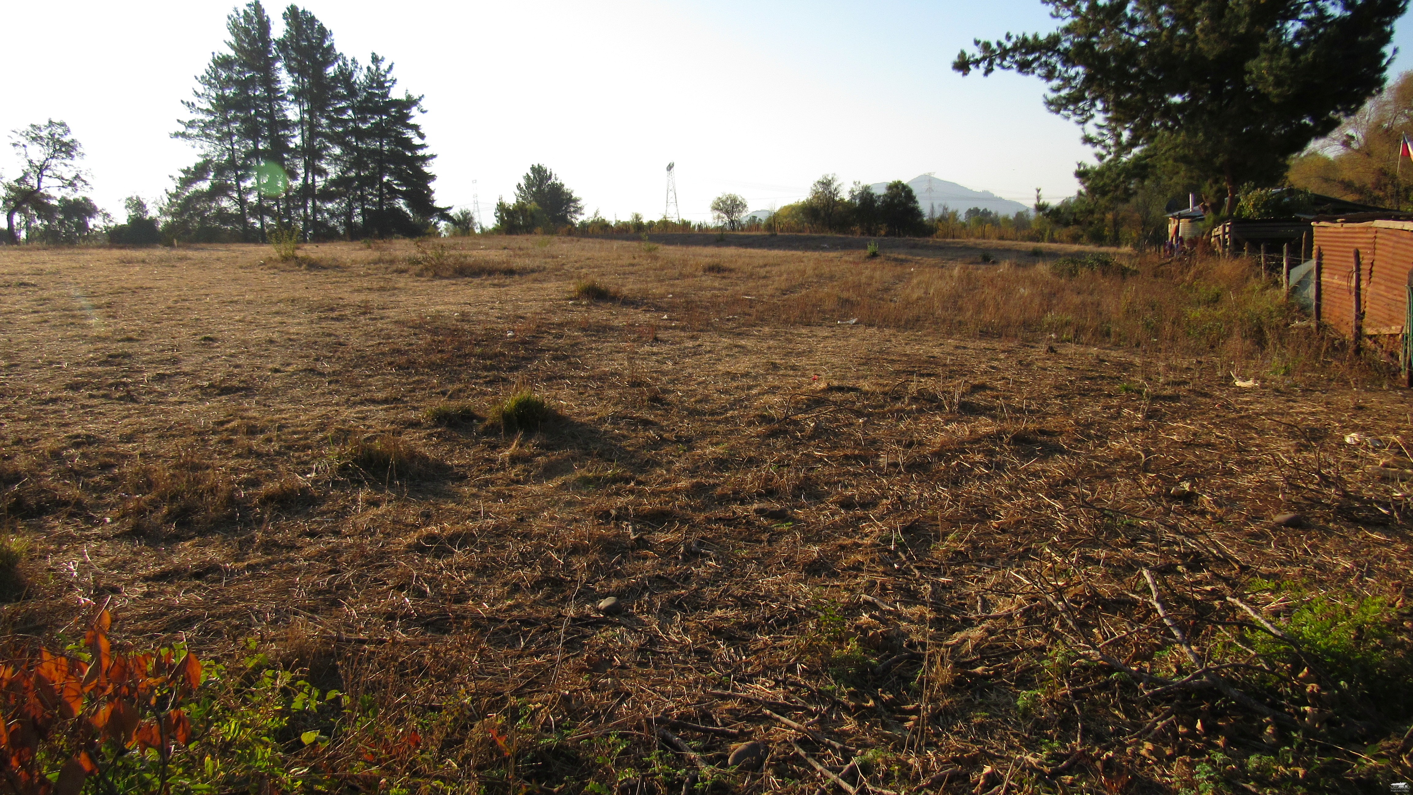 foto Terreno 5.000 M2. 8