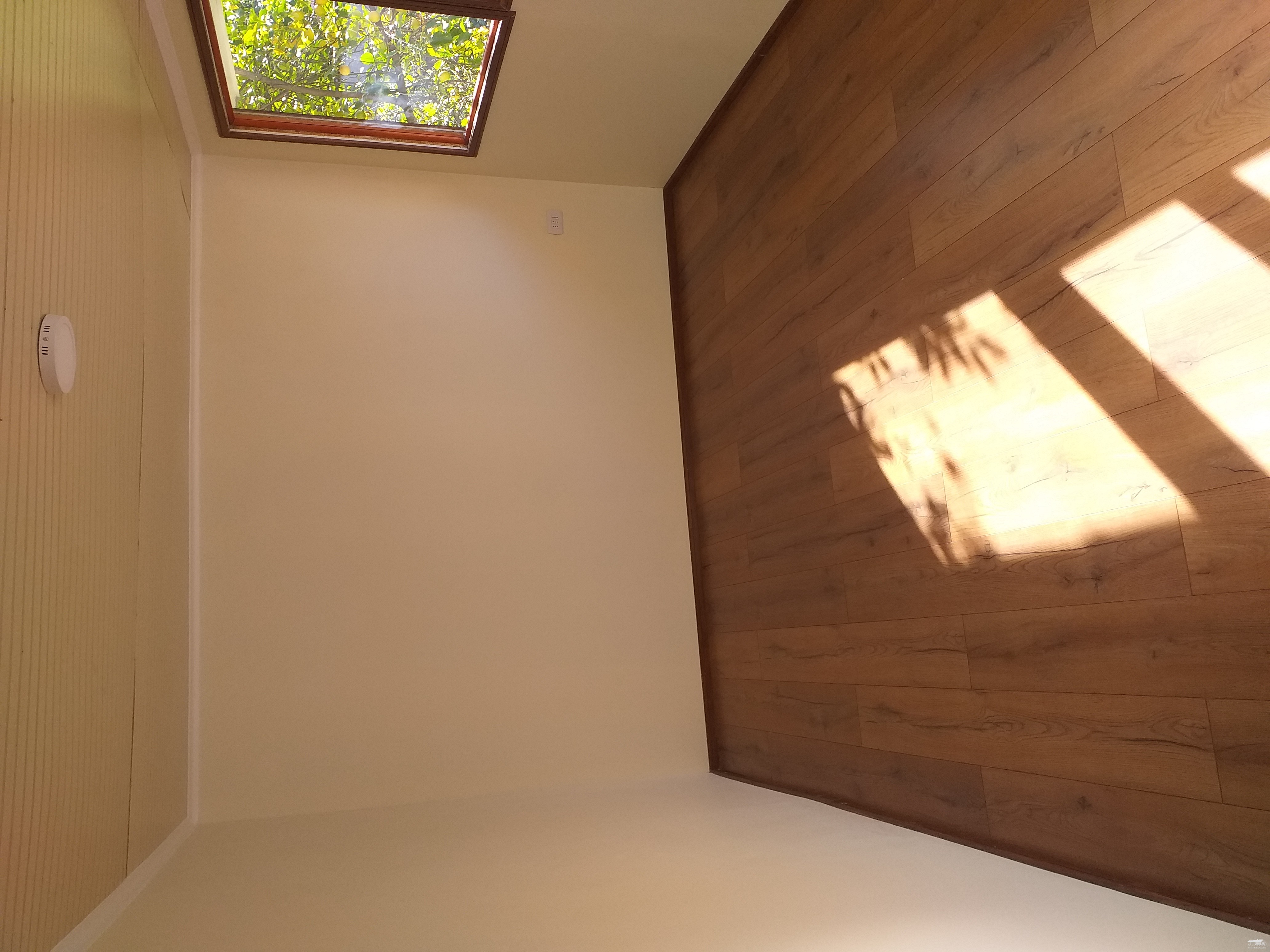 foto Casa 6