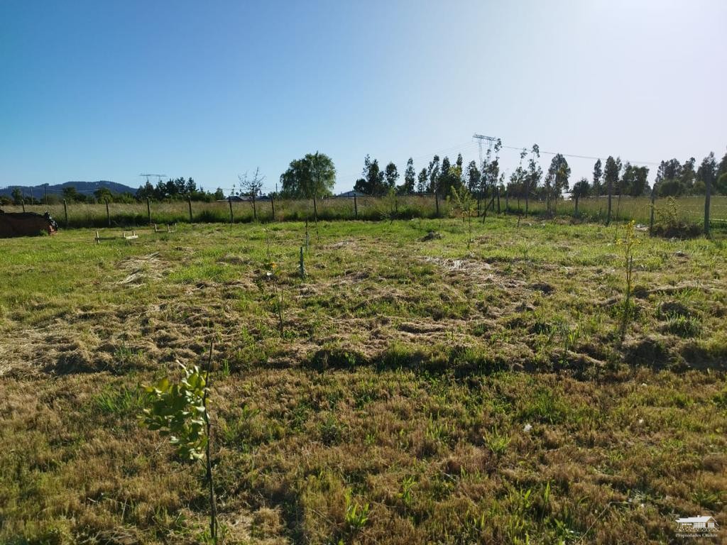 foto Parcela 1.130 hectárea 8