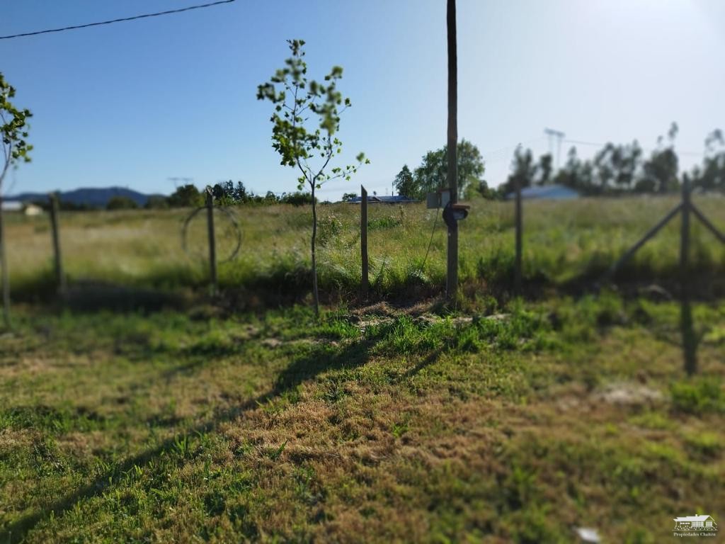 foto Parcela 1.130 hectárea 2
