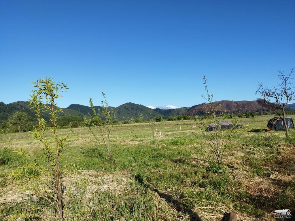 foto Parcela 1.130 hectárea 1