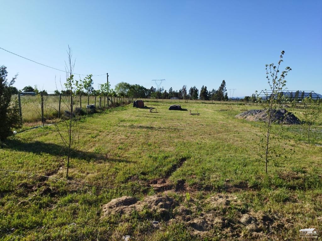foto Parcela 1.130 hectárea 7
