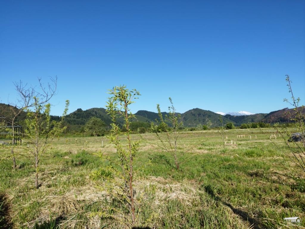 foto Parcela 1.130 hectárea 6
