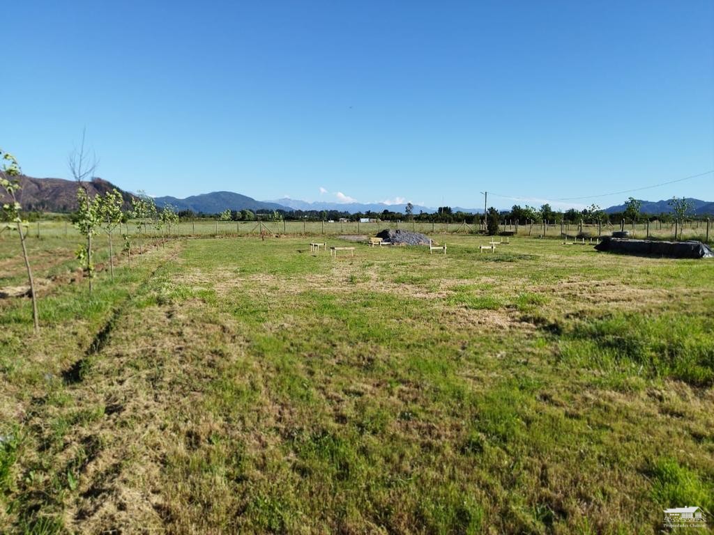 foto Parcela 1.130 hectárea 4