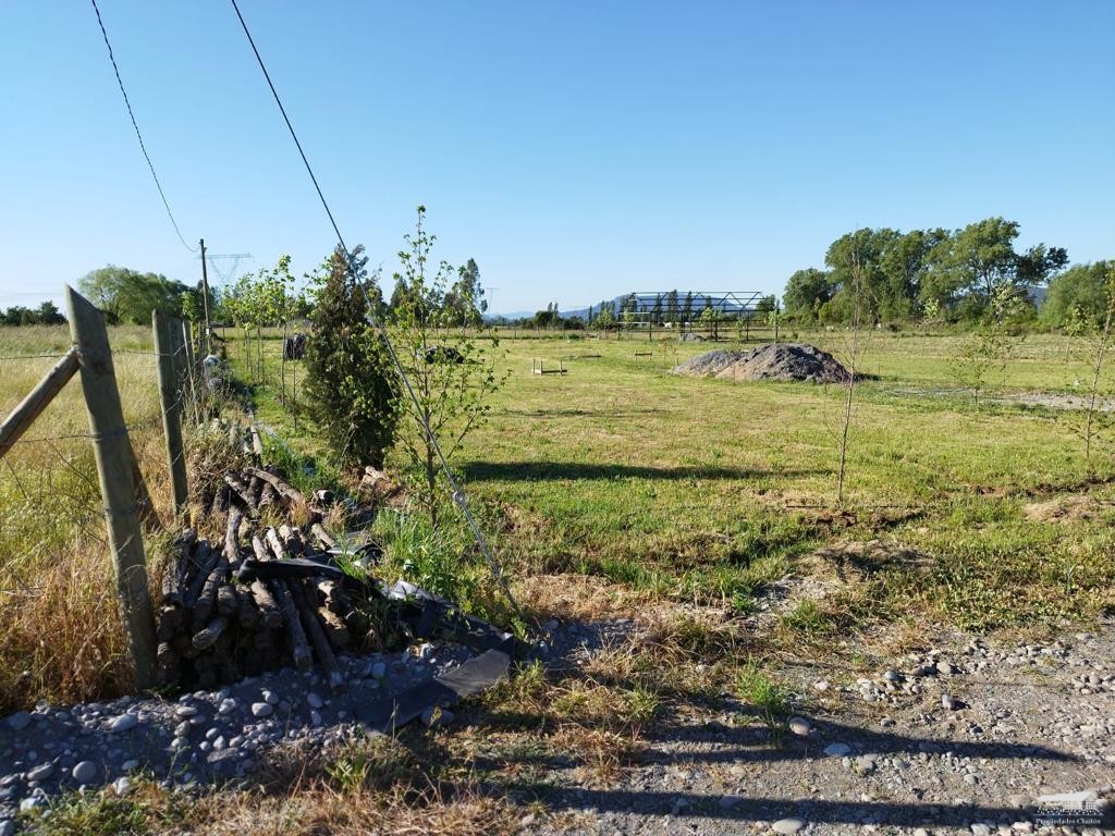 foto Parcela 1.130 hectárea 9