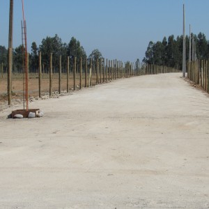 Parcelas de Agrados