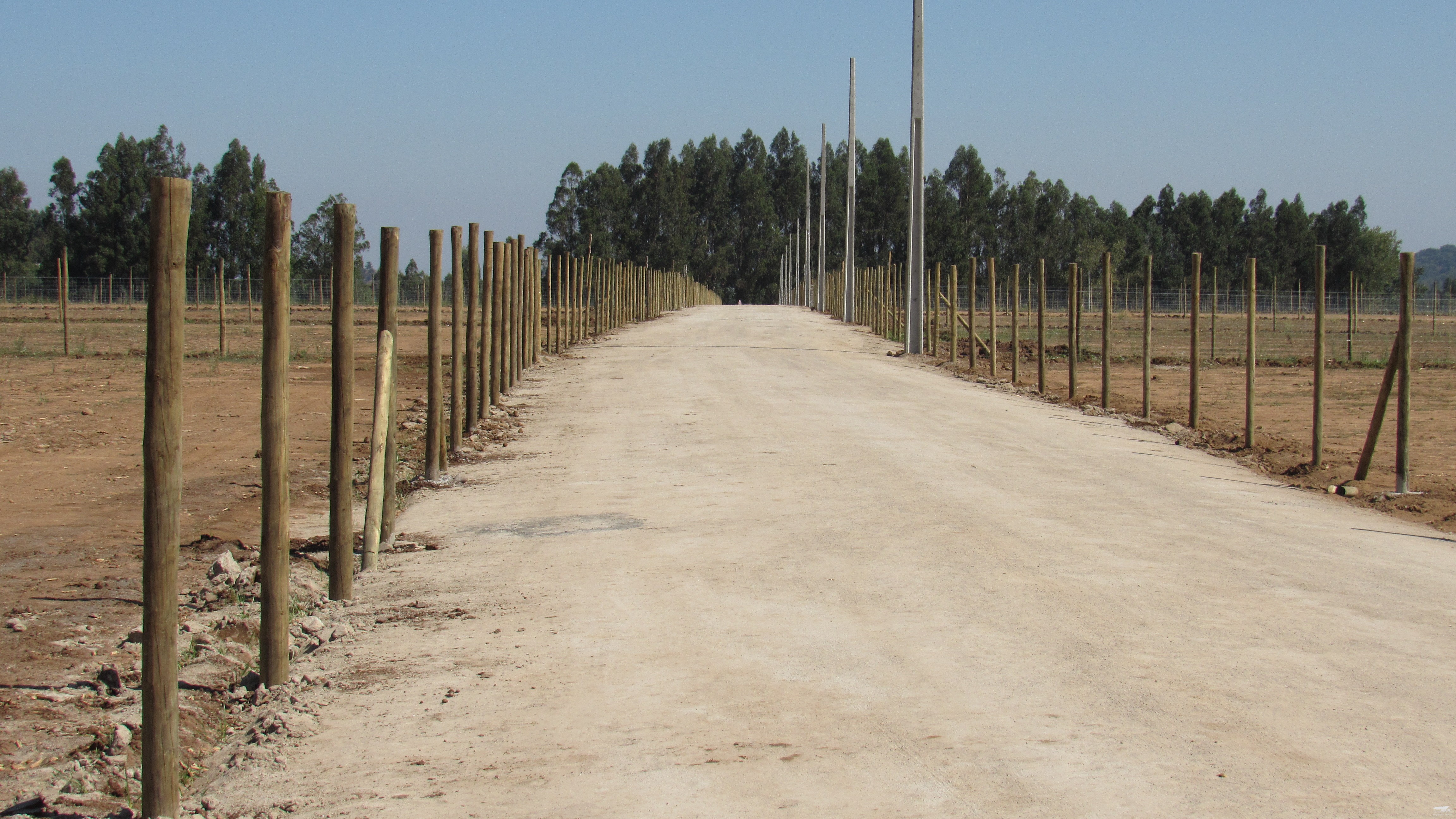 foto Parcelas de Agrados 4