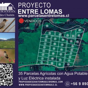 Hermosas Parcelas Agrícolas