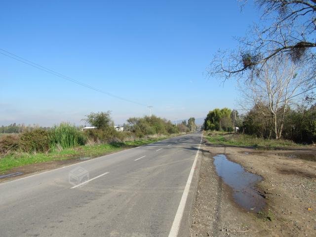 foto Terrenos 5.000 M2 5