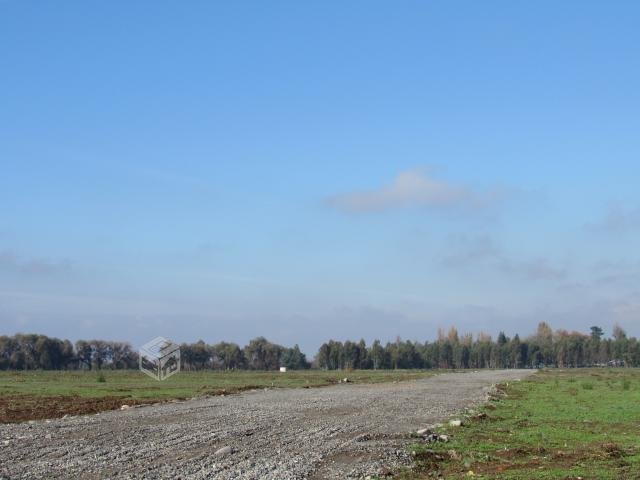 foto Terrenos 5.000 M2 1