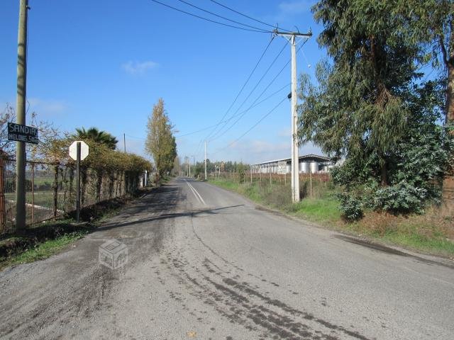 foto Terrenos 5.000 M2 4