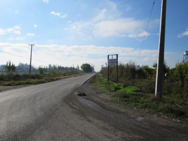 foto Terrenos 5.000 M2 12