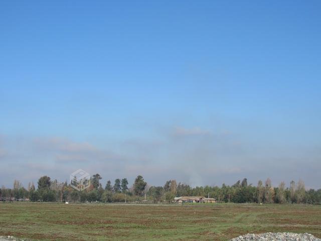 foto Terrenos 5.000 M2 3
