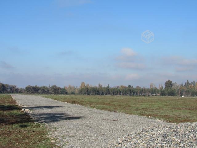 foto Terrenos 5.000 M2 6
