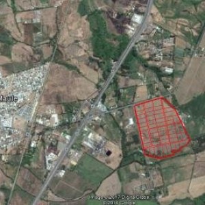 Terrenos 5.000 M2