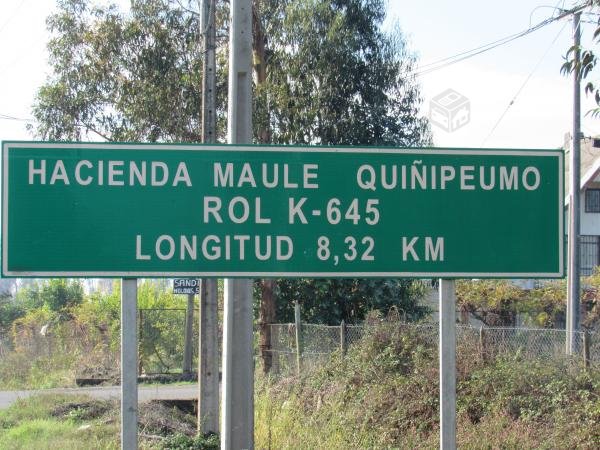 foto Terrenos 5.000 M2 2