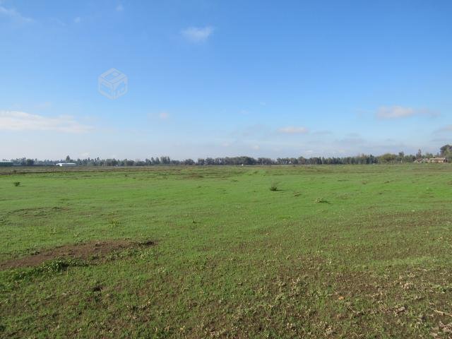 foto Terrenos 5.000 M2 9
