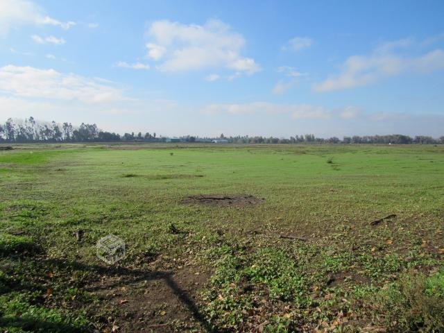 foto Terrenos 5.000 M2 11