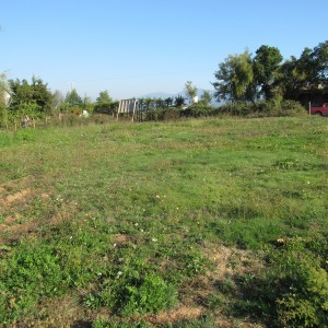 Parcela de Agrado