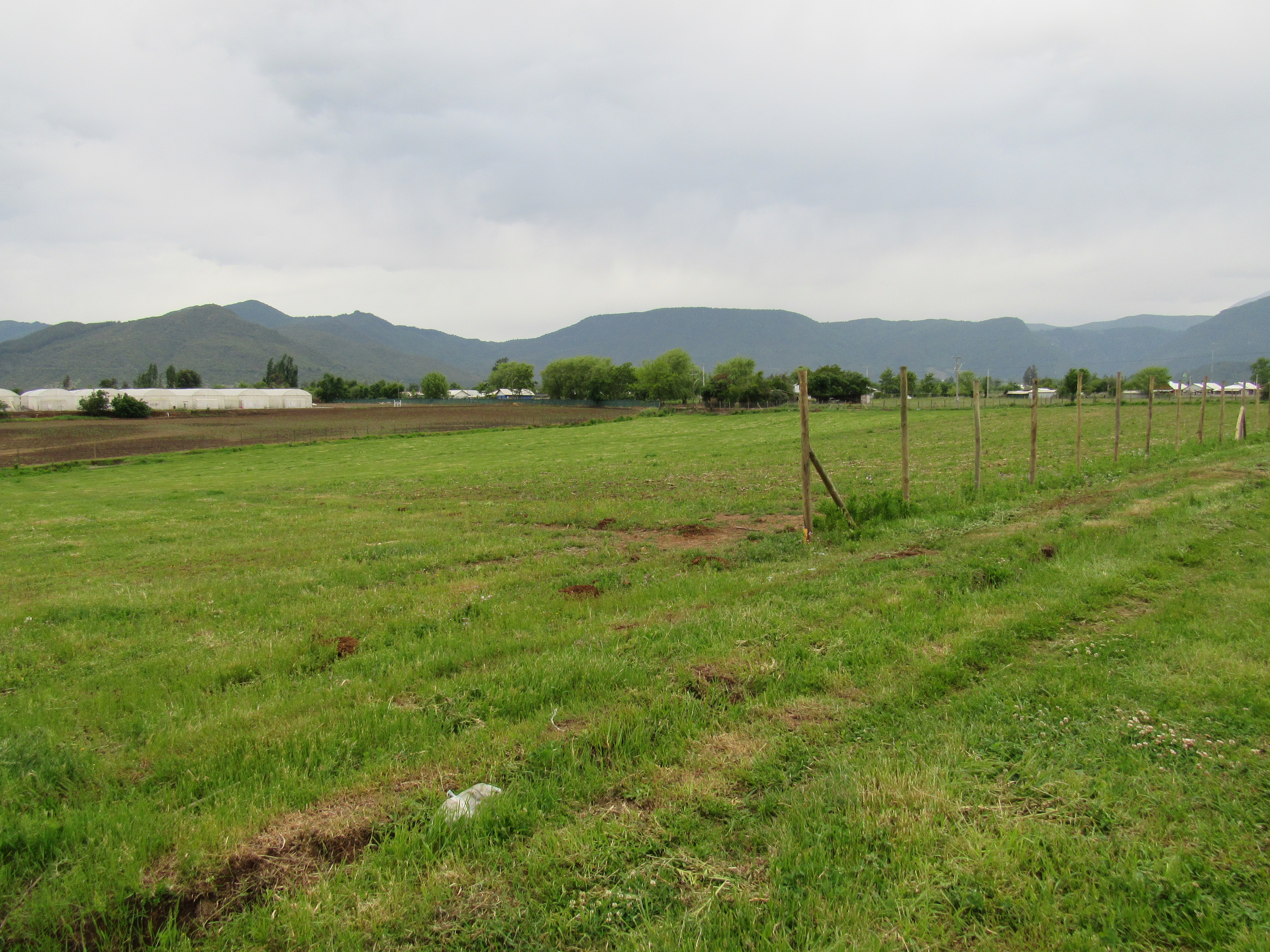 foto 5.000 M2 Las Lomas 6