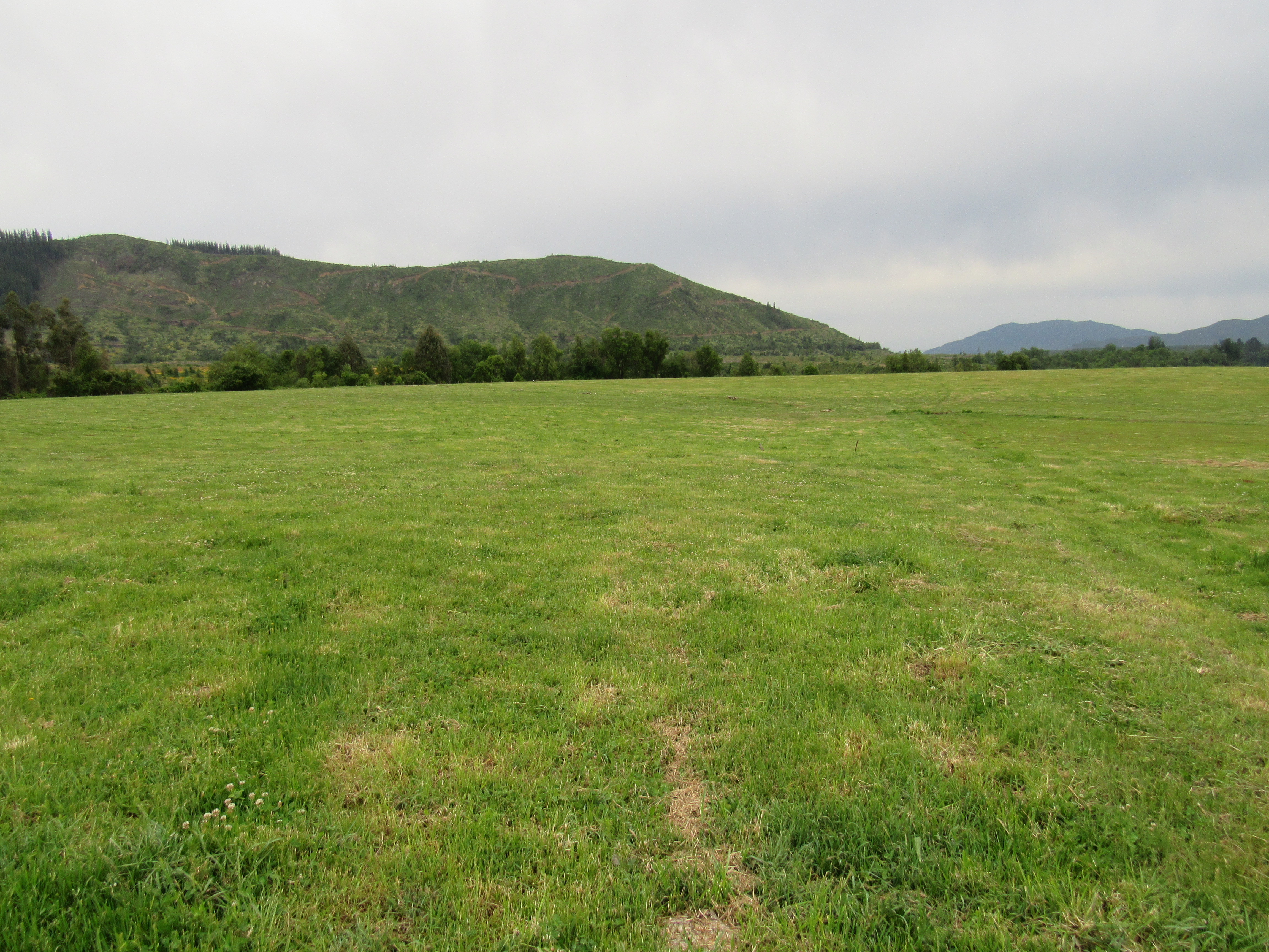 foto 5.000 M2 Las Lomas 5