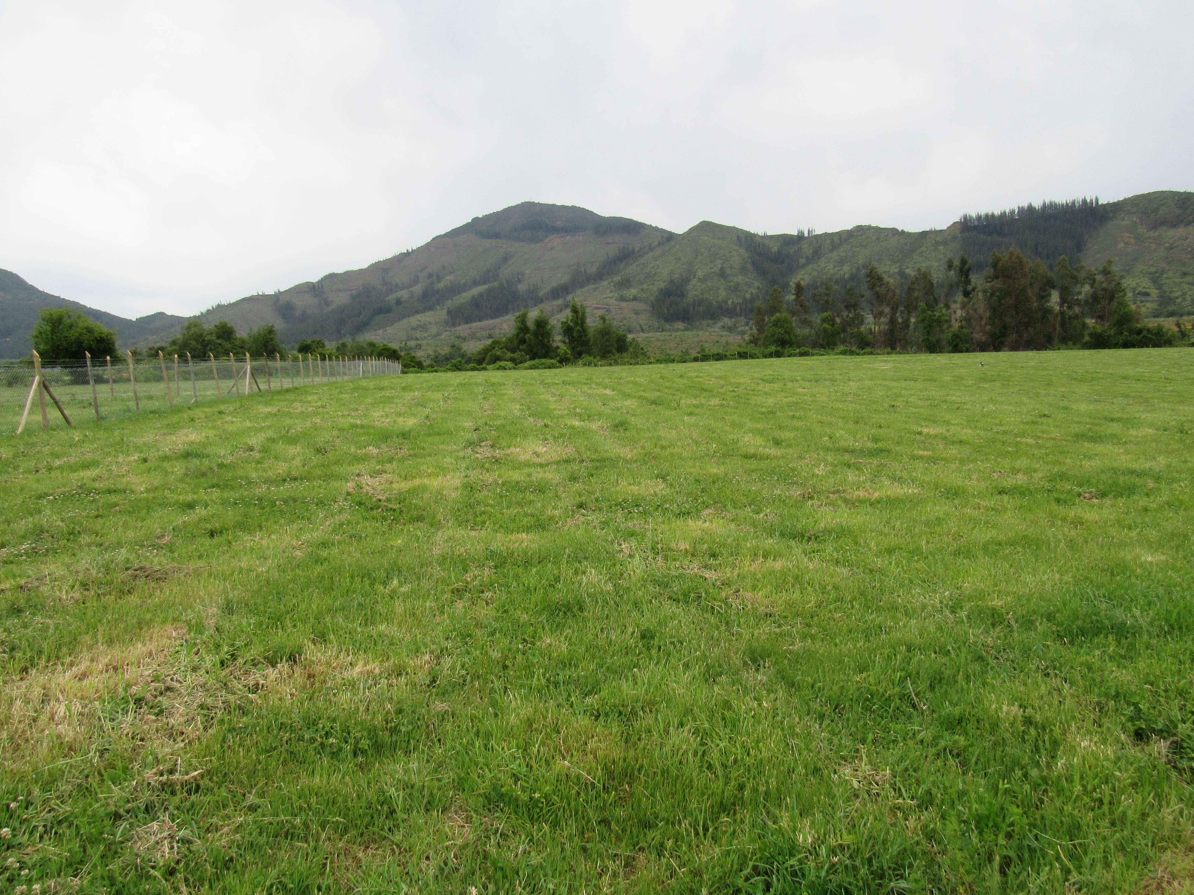 foto 5.000 M2 Las Lomas 3