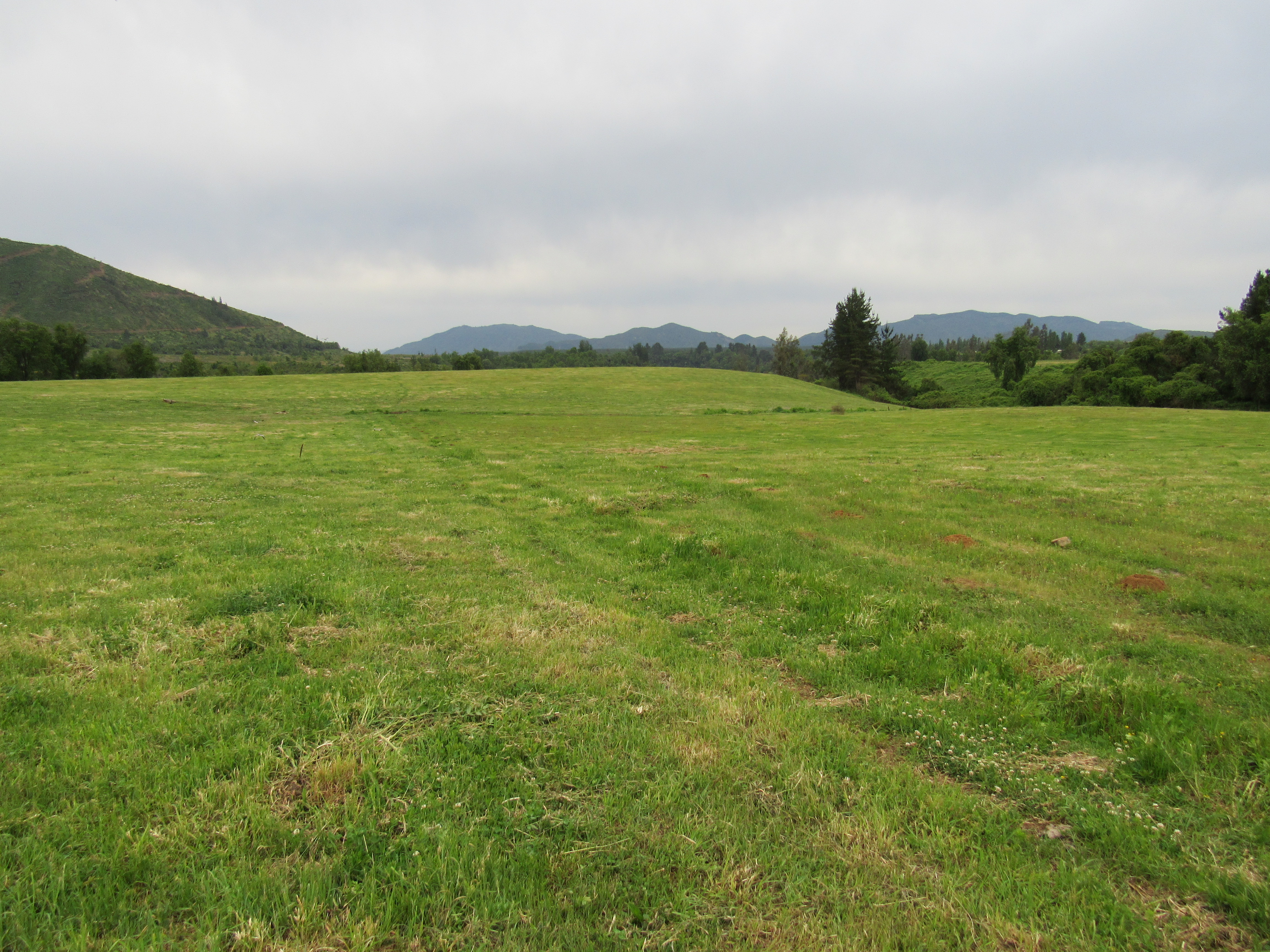 foto 5.000 M2 Las Lomas 4