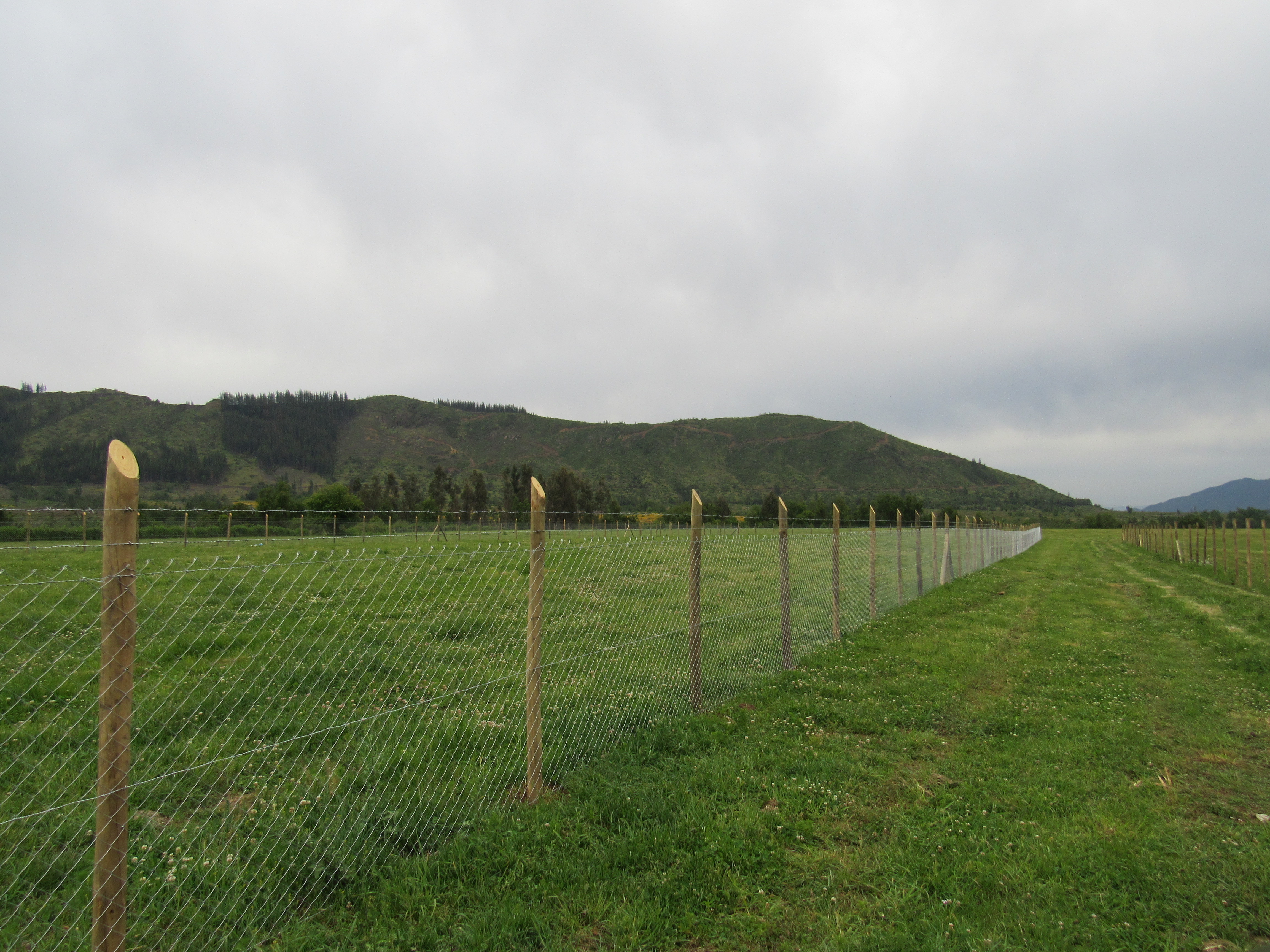 foto 5.000 M2 Las Lomas 1