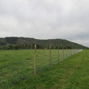 5.000 M2 Las Lomas
