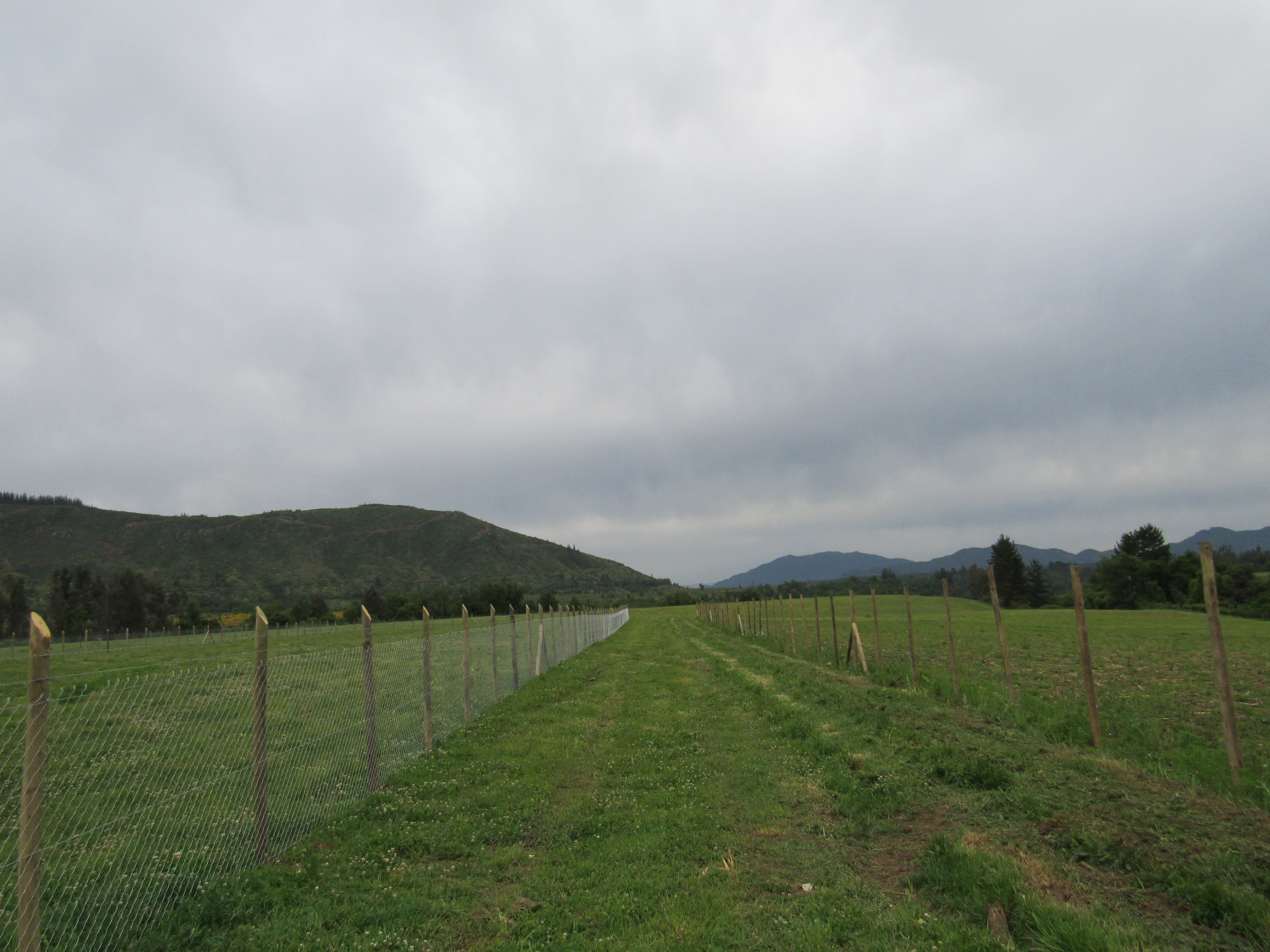 foto 5.000 M2 Las Lomas 2