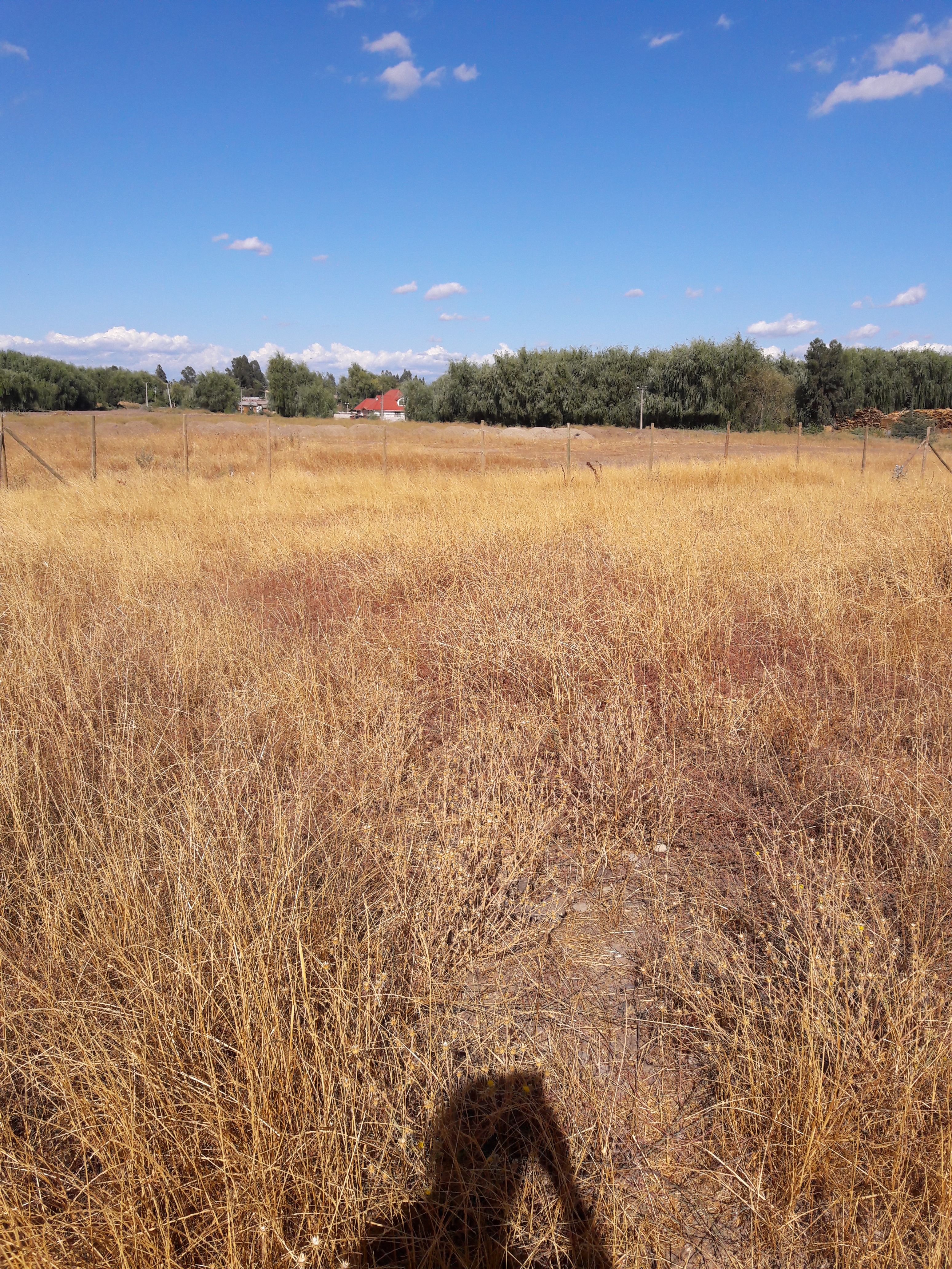 foto Lote 5.000 Altos de Unihue 7