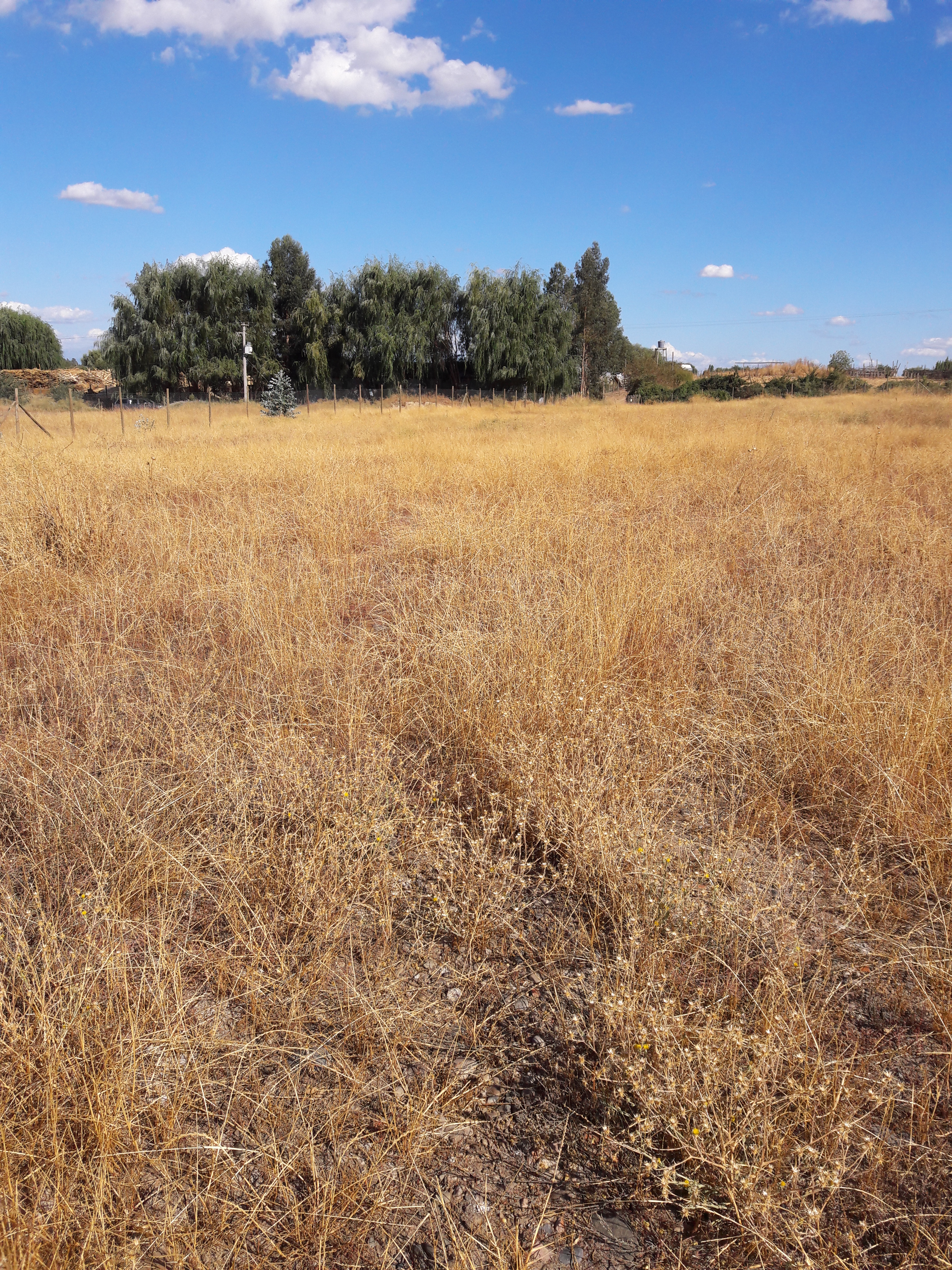 foto Lote 5.000 Altos de Unihue 5