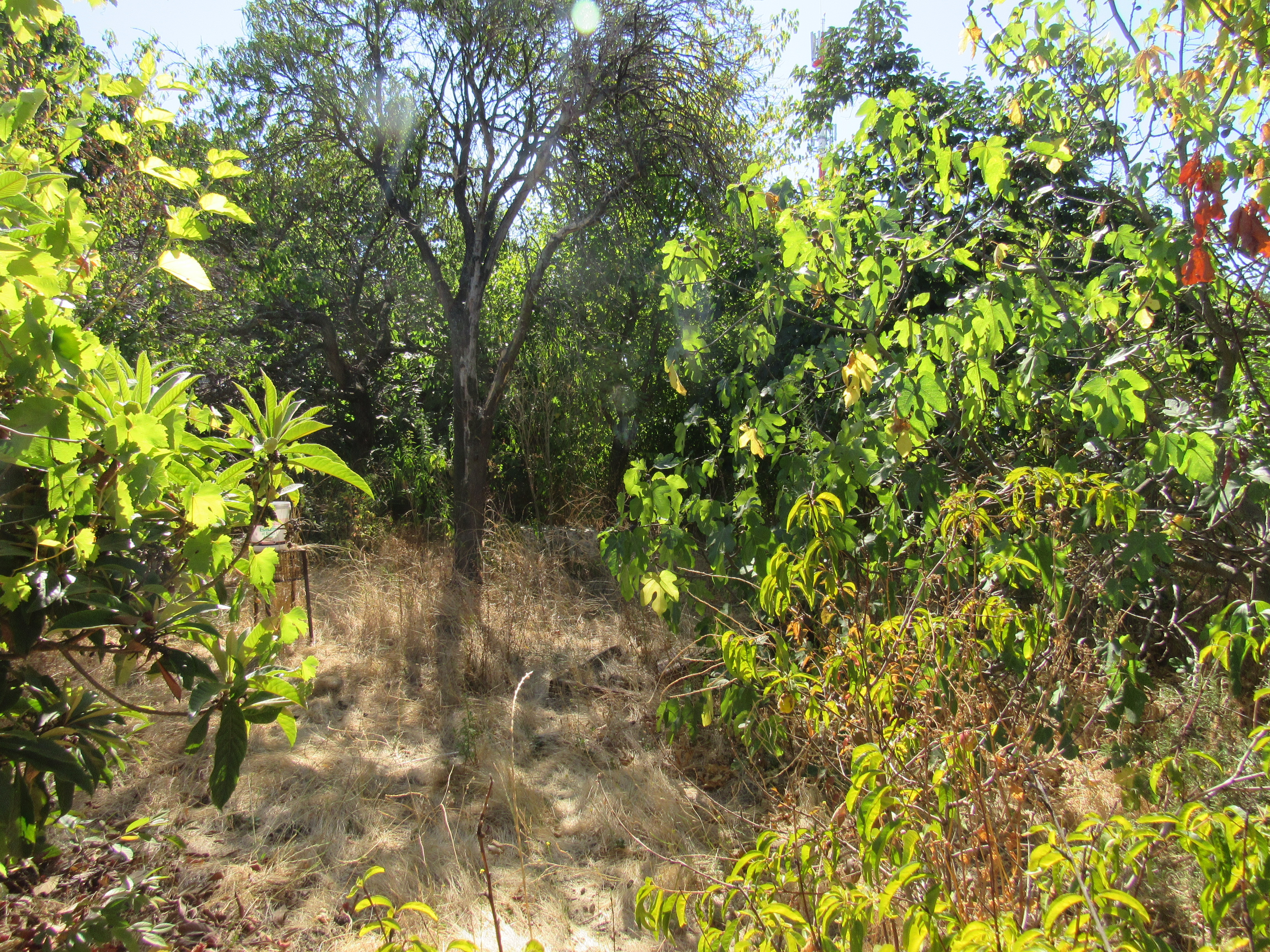 foto Terreno 1098 M2 8