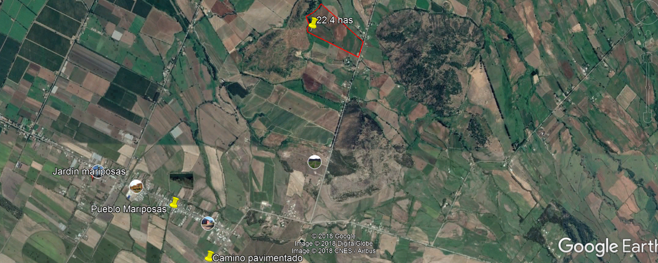 foto Parcela 22.4 héctareas 9